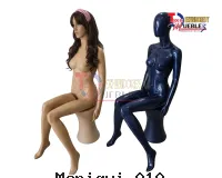 Vista 1